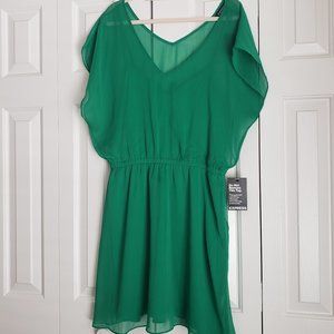 NEW Express Green Sheer Dress with Built-In Slip